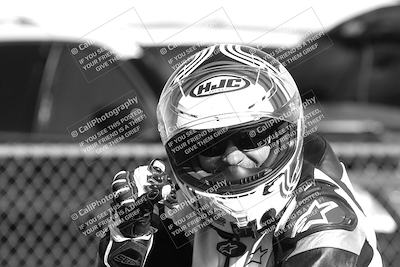 media/Feb-23-2025-2WTD (Sun) [[9604a77d5d]]/1-Around the Pits/